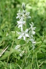 Killikus&reg; Fotographie